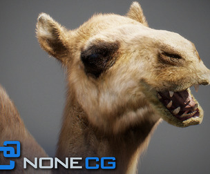 Animated Camel v2