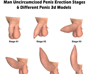 Man Uncircumcised Penis Erection Stages