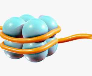 Histone Structure