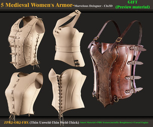 5 Medieval Women's Armor
