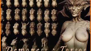 DEMONESS part 2 : 40 Torsos cover