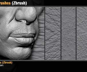 40 Skin Brushes (Zbrush)