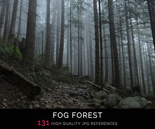 Fog Forest