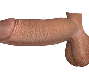 Big Black African Man Penis
