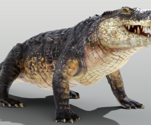 Realistic Crocodile Rigged