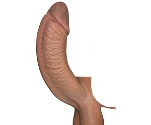 Black Erect Penis