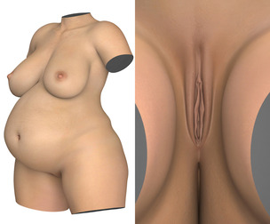 Pregnant Woman Torso With Vagina