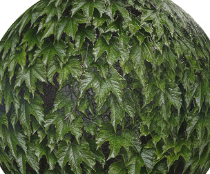 wall leaf texture 4K seamless