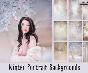Winter Portrait Backgrounds