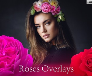 Roses Photo Overlays