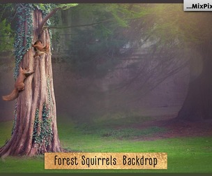 Forest Squirrels Backdrop