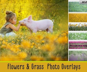 Flowers and Grass Overlays