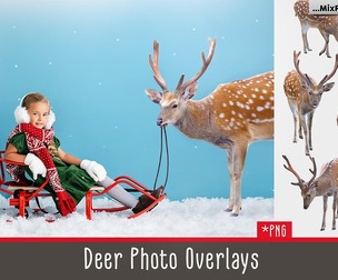 Deer Photo Overlays