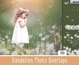 Dandelion Overlays