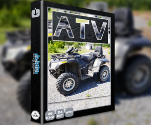 ATV Arctic Cat 650 H1