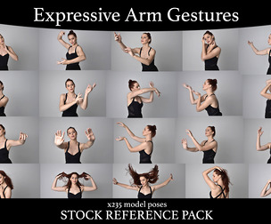 Arm gestures -  Stock Model Reference Pack