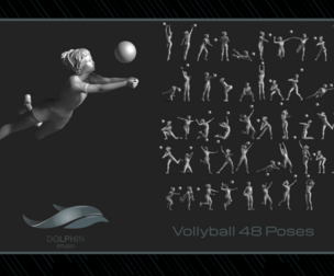 volleyball Woman 48 figure Set 01
