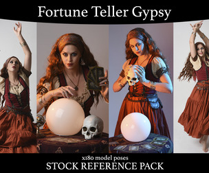 Fortune Teller - Stock model reference pack