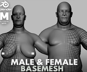 Fat Male & Female Anatomy  - Topology + UV Map