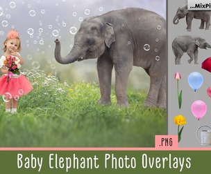 Baby Elephant Photo Overlays
