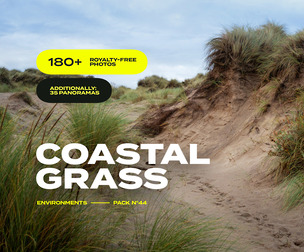 EP44 / Coastal Grass — photo reference pack
