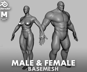 Muscular Male & Female Anatomy - Topology + UV Map
