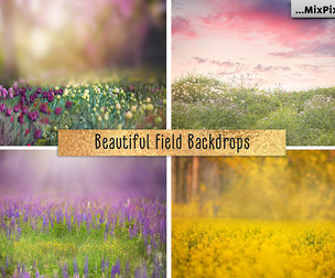 Beautiful Field Backdrops