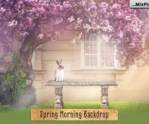 Spring Morning Backdrop