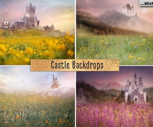 Castle backdrops