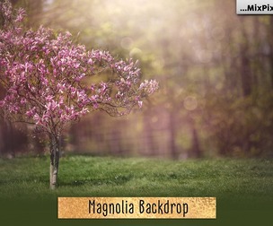 Magnolia Backdrop
