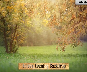 Golden Evening Backdrop