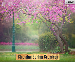 Blooming Spring Backdrop