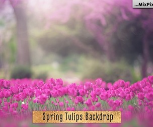 Spring Tulips Backdrop