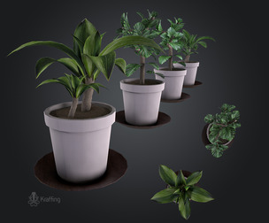 Small Plant