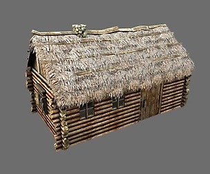 Wooden Thatch House
