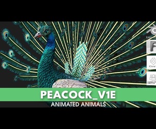 Peacock_V1E