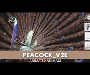 Peacock_V2E