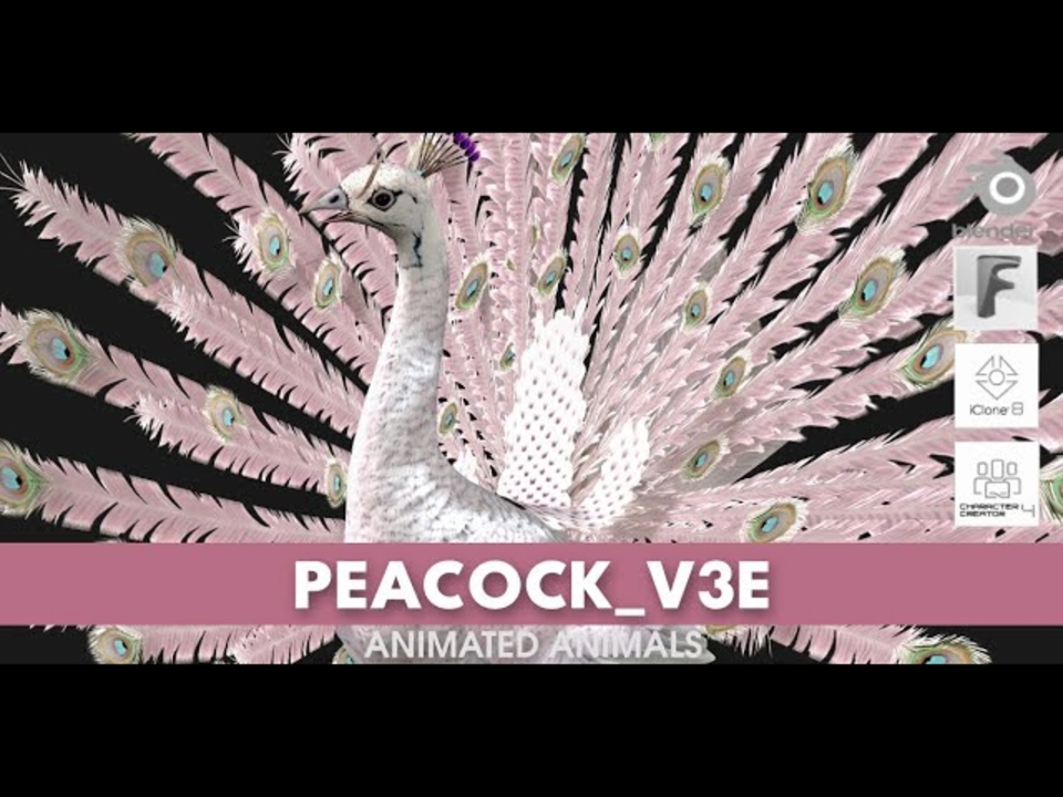 Peacock_V3E