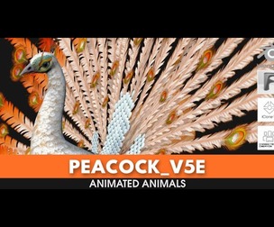 Peacock_V5E