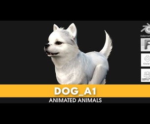 Dog_A1
