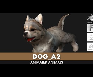 Dog_A2