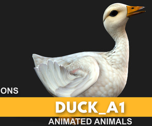 Duck_A1