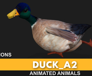 Duck_A2