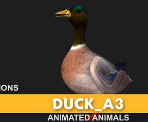 Duck_A3