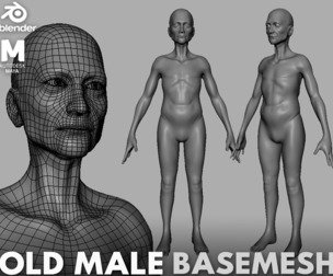 Old Male Anatomy - Topology + UV Map