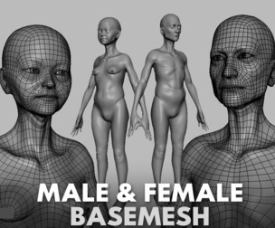Old Male & Female Anatomy - Topology + UV Map