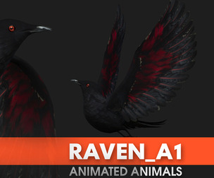 Raven_A1