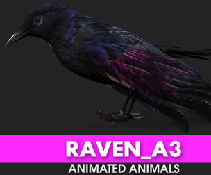 .Raven_A3