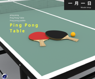 Ping Pong Table