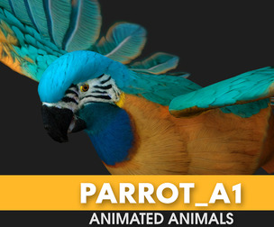 Parrot_A1